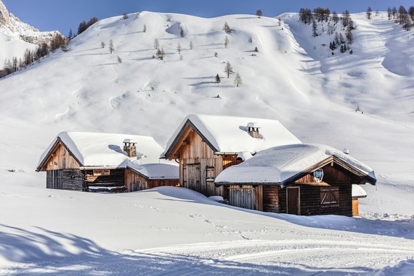 Quels chalets en montagne offrent des cours de cuisine régionale et des randonnées guidées?